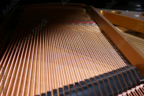 piano strings photo