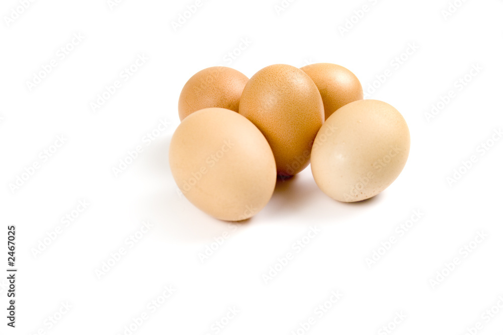 eggs on white background eggs on white background