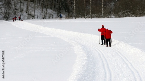 Photography winter landscape