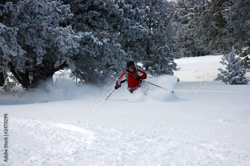 powder skiing