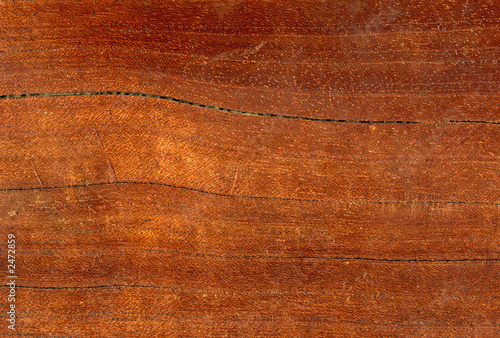 macro close up detail of a polished wood surface. photo