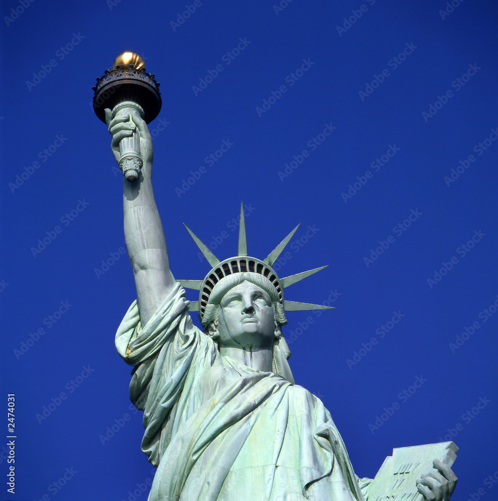 Fototapeta premium statue of liberty