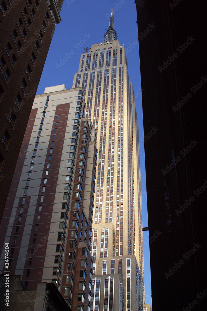 Fototapeta premium the highest