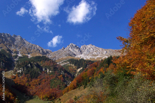 herbstfarben