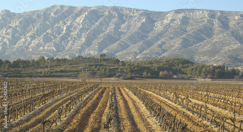 sainte victoire
