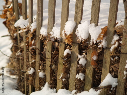 winter with snow in park 