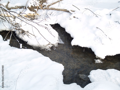 winter with snow in park 