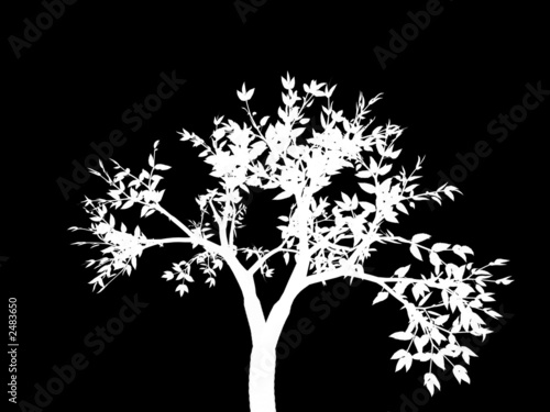 tree