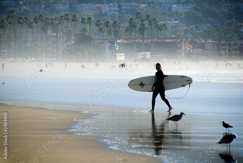 pacific surfer girl