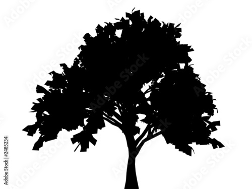oak