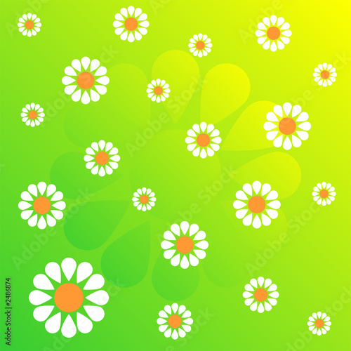 flower pattern_36