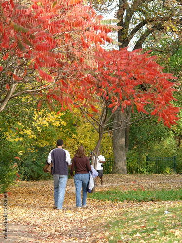 a park stroll