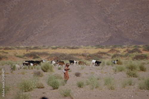 bergère et son troupeau © Sahara Nature