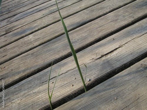 steg01