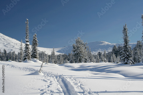 winter forest in mountains, ski-track