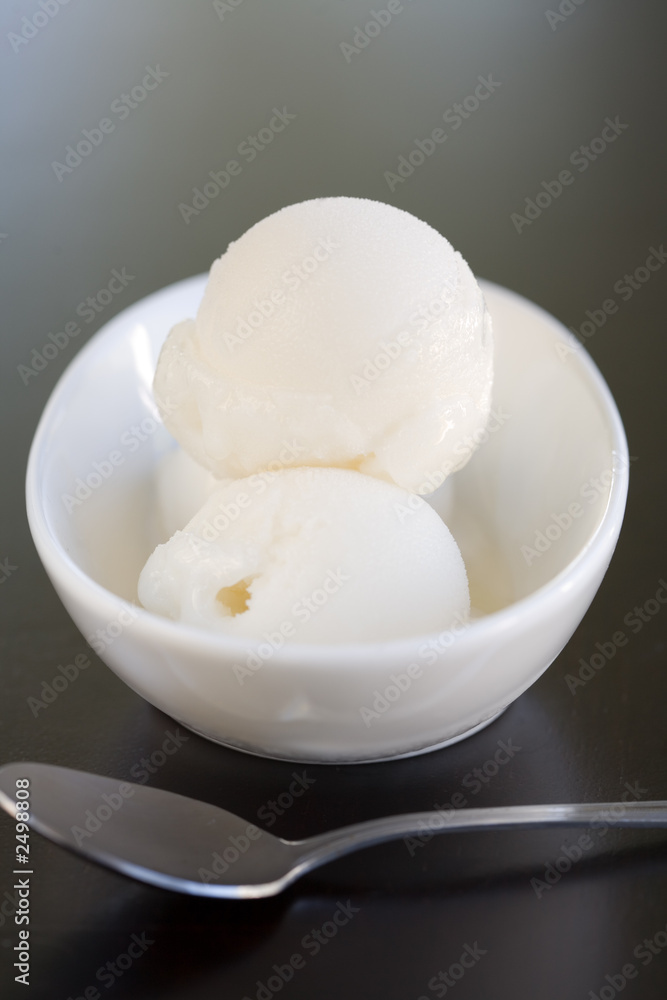 sorbet lemon sorbet lemon