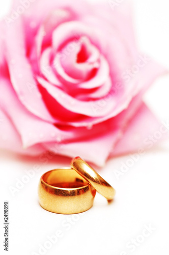 two wedding rings and pink rose at the background