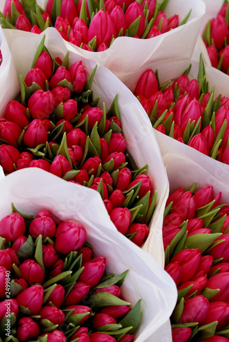 flower bouquets