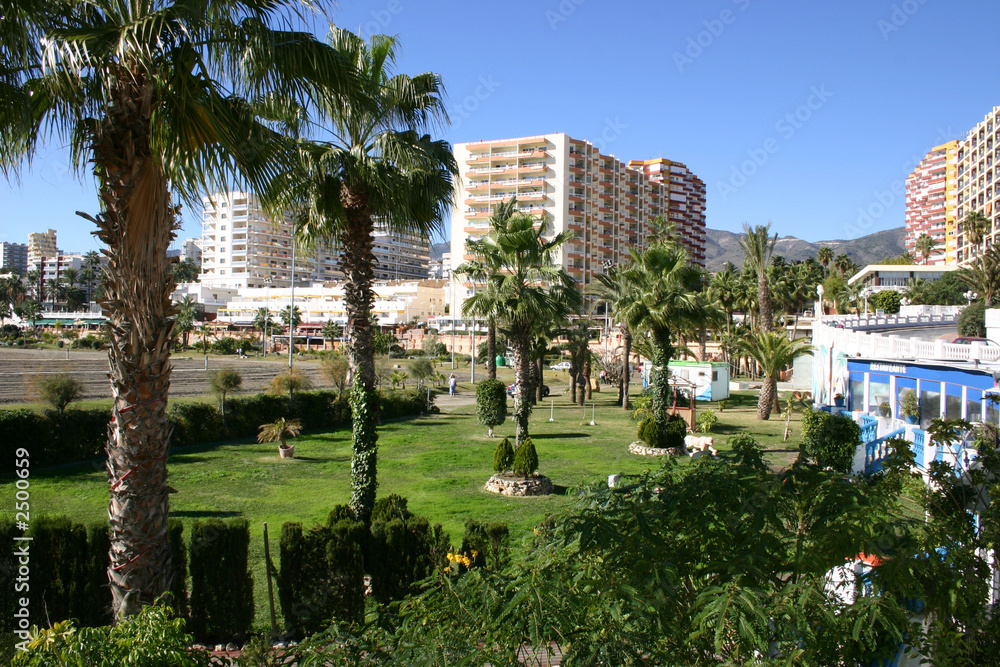 Fototapeta premium oasis on the beach