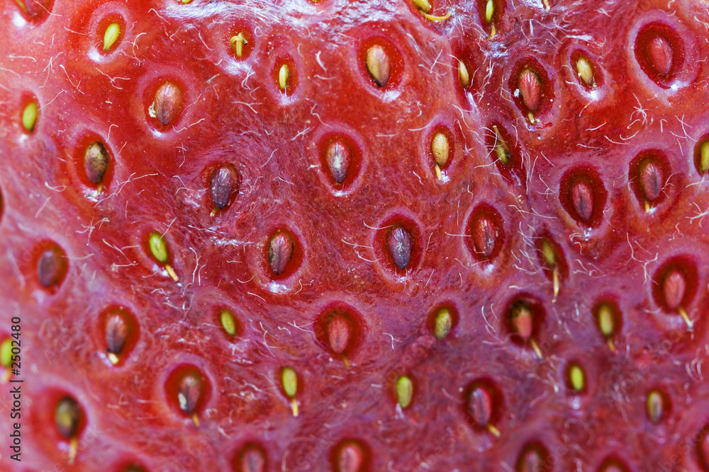 strawberry close up strawberry close up