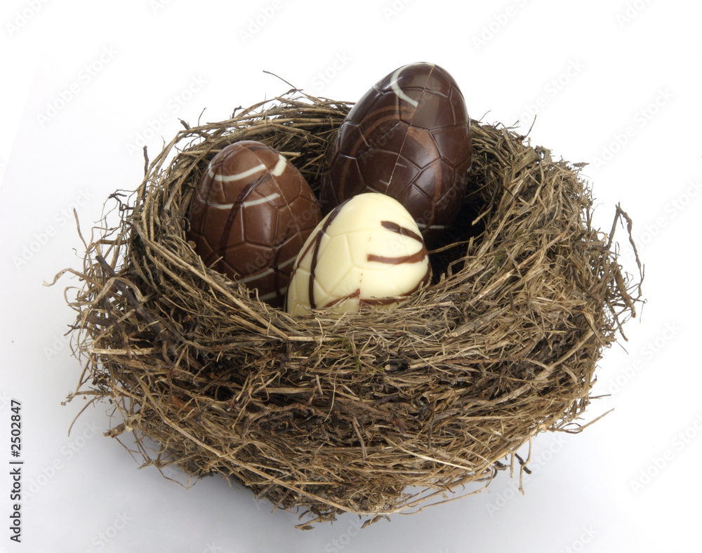 Obraz premium oeufs dans le nid