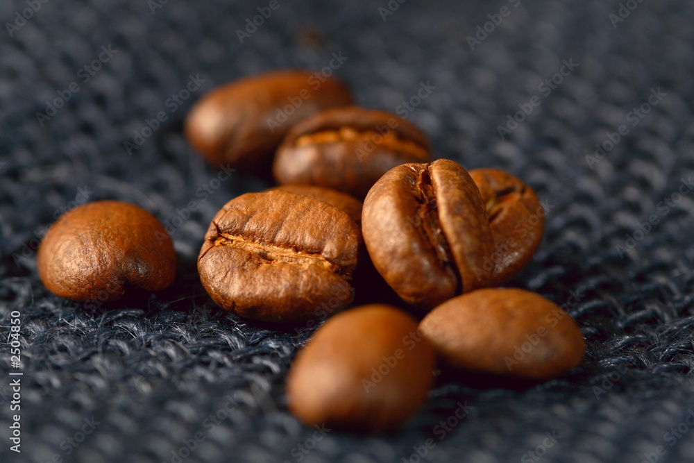 Obraz premium kaffeebohnen