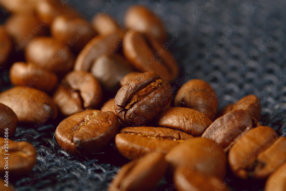 kaffeebohnen kaffeebohnen