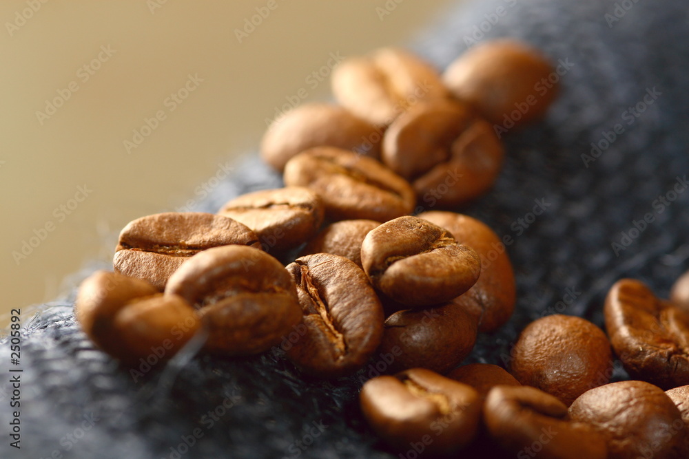 kaffeebohnen kaffeebohnen