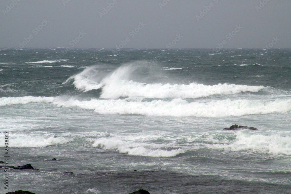 Fototapeta premium mer houleuse