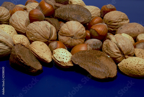 nuts on blue photo