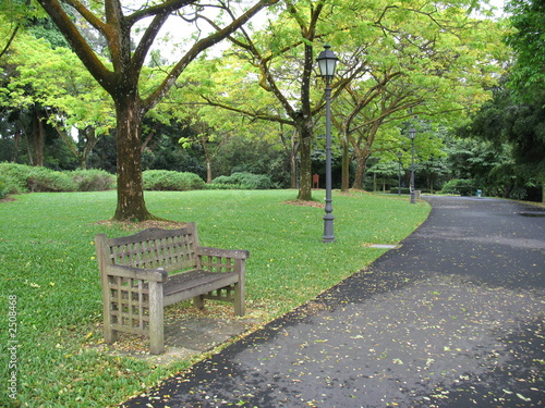 lone bench in park