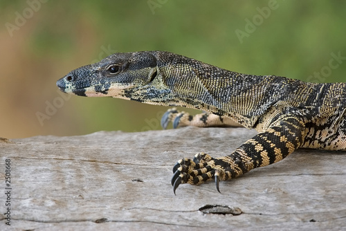 Cuadro en lienzo lace monitor