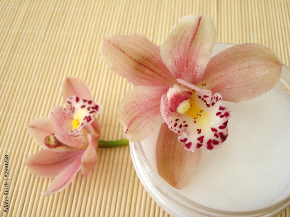 container of cosmetic moisturizing cream with pink orchids