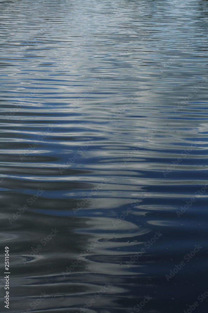 Naklejka premium ripples on a lake #2