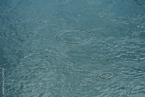 raindrops on a lake #1