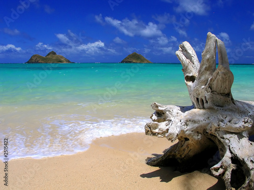 lanikai beach