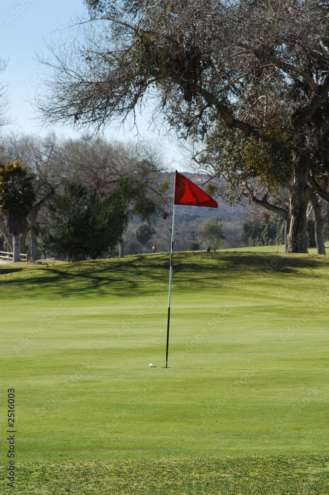 Obraz premium close to the pin