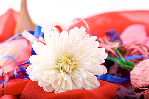 composition with flowers.