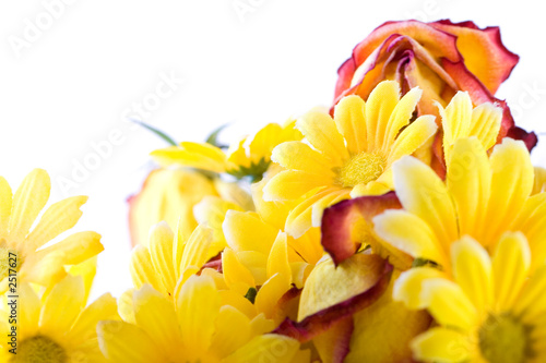 composition with flowers.