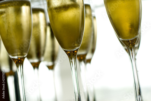 champagne glasses