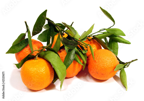 many orange tangerine with green leaves over white background