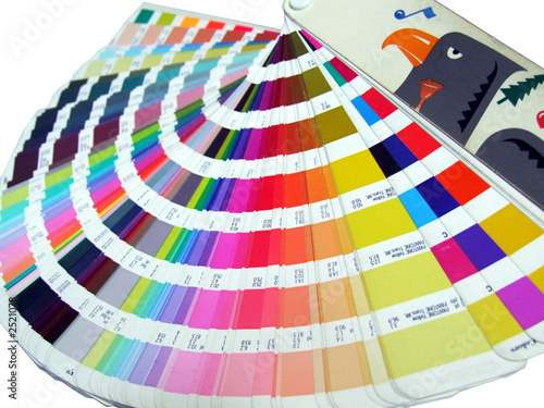 photo palette de couleur