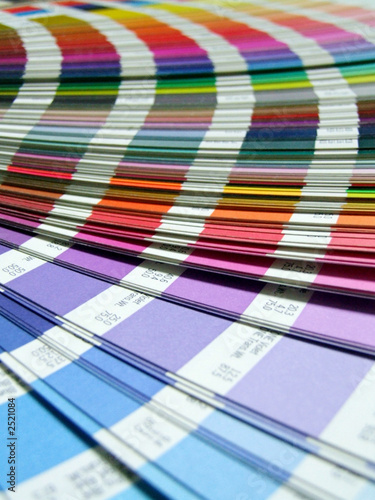 photo palette de couleur