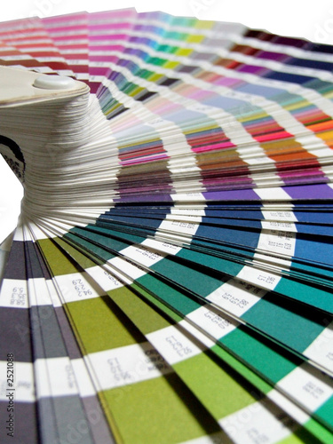 photo de palette de couleur