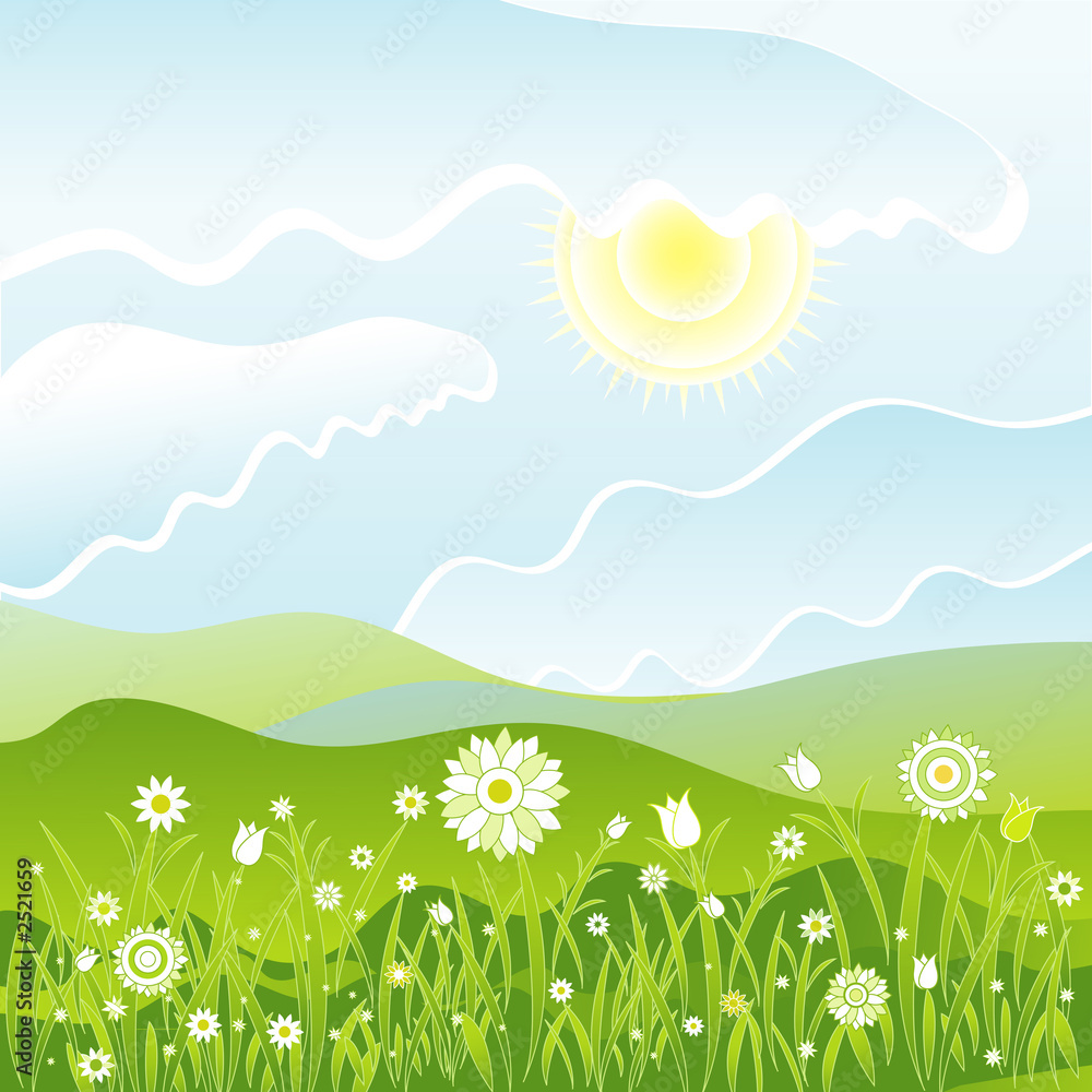 Obraz premium flowers in the field