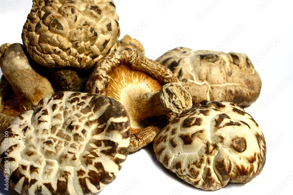 shiitake shiitake