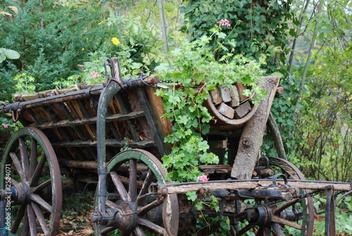 holzwagen photo