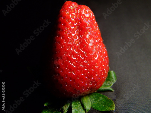 a single strawberry on black 1 photo