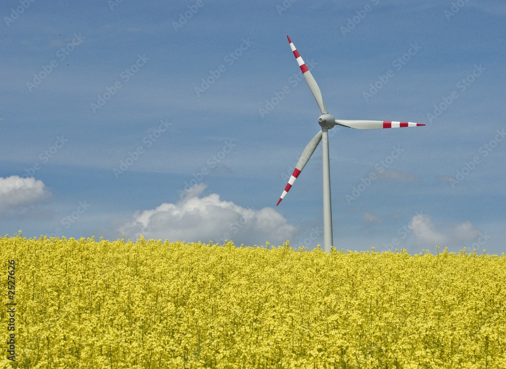 windkraft windkraft