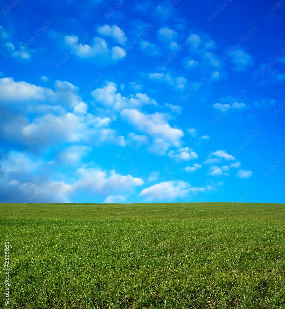 wheat field over beautiful blue sky 9 wheat field over beautiful blue sky 9